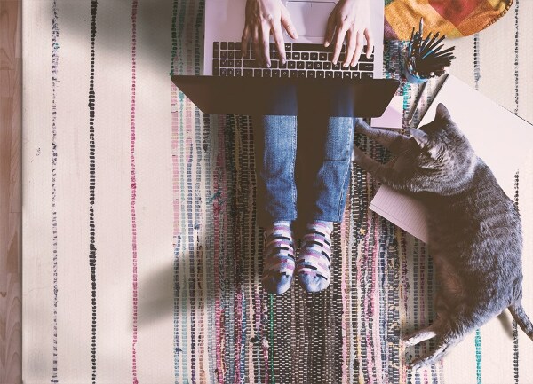 Vinylová rohož pro domácnost Barevné pruhy