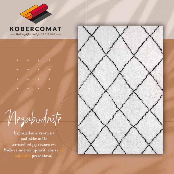 Vinylový koberec pro domácnost Černé čáry vzorec