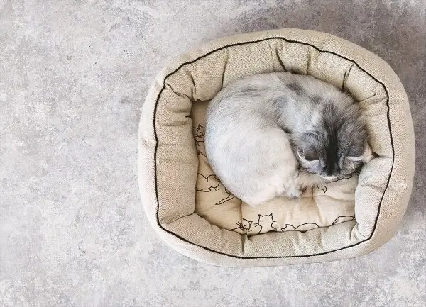 Univerzální vinylový koberec Cement struktura
